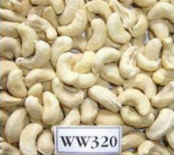 Cashews 320 No’s | Munchify