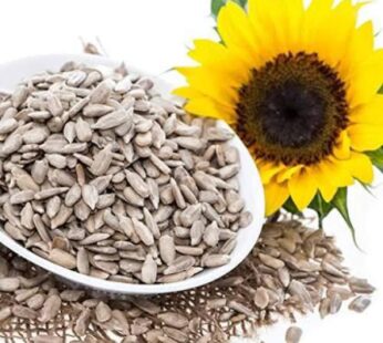 Sunflower Seeds | Munchify