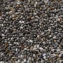 Chia Seeds | 200 Grams  | Munchify